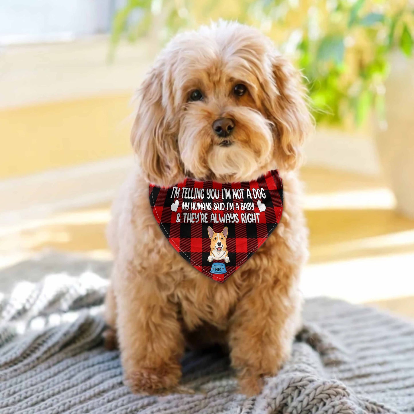 Ich sage dir, ich bin kein Hund – Personalisiertes Hunde-Hunde-Halstuch für Paare