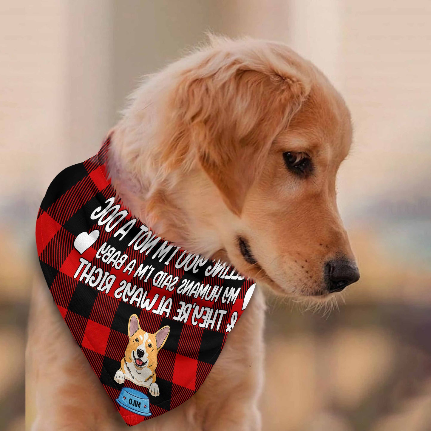 Ich sage dir, ich bin kein Hund – Personalisiertes Hunde-Hunde-Halstuch für Paare