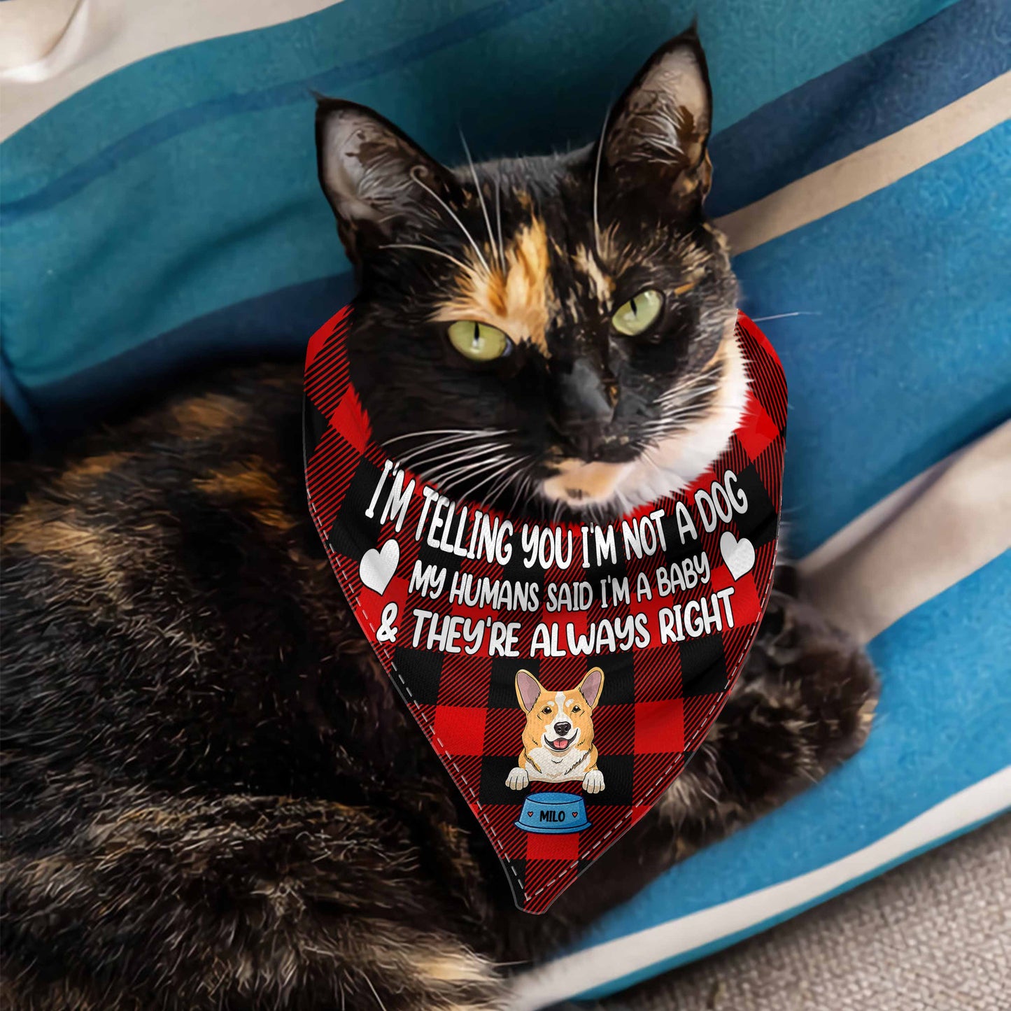 Ich sage dir, ich bin kein Hund – Personalisiertes Hunde-Hunde-Halstuch für Paare