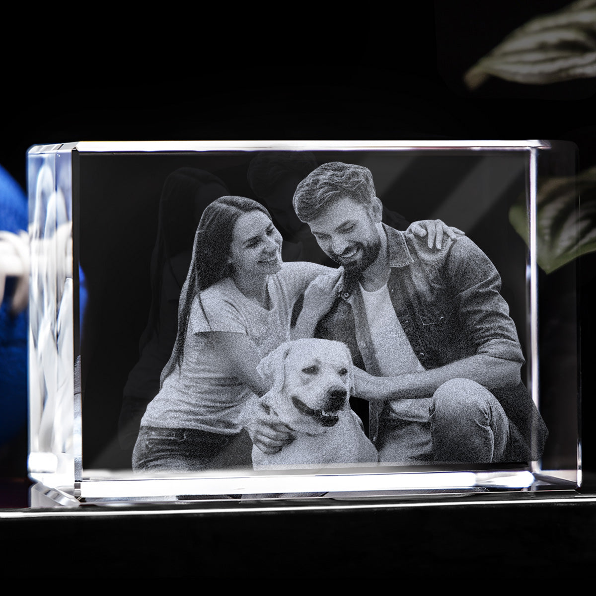 Individuelles Foto – Personalisierte Hunde-Lasergravur, 3D-Kristalllampe in Quaderform
