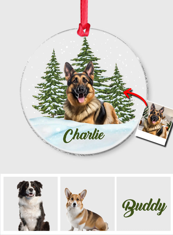 Frohe Weihnachten – Personalisierter transparenter Hunde-Weihnachtsbaumschmuck
