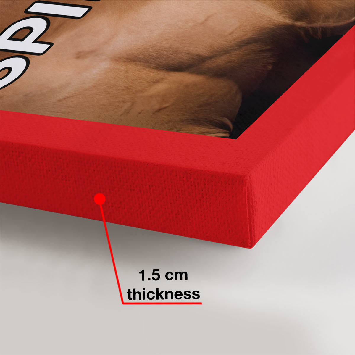 Magazincover – Personalisierte Leinwandbilder und Poster mit Pferdemotiven