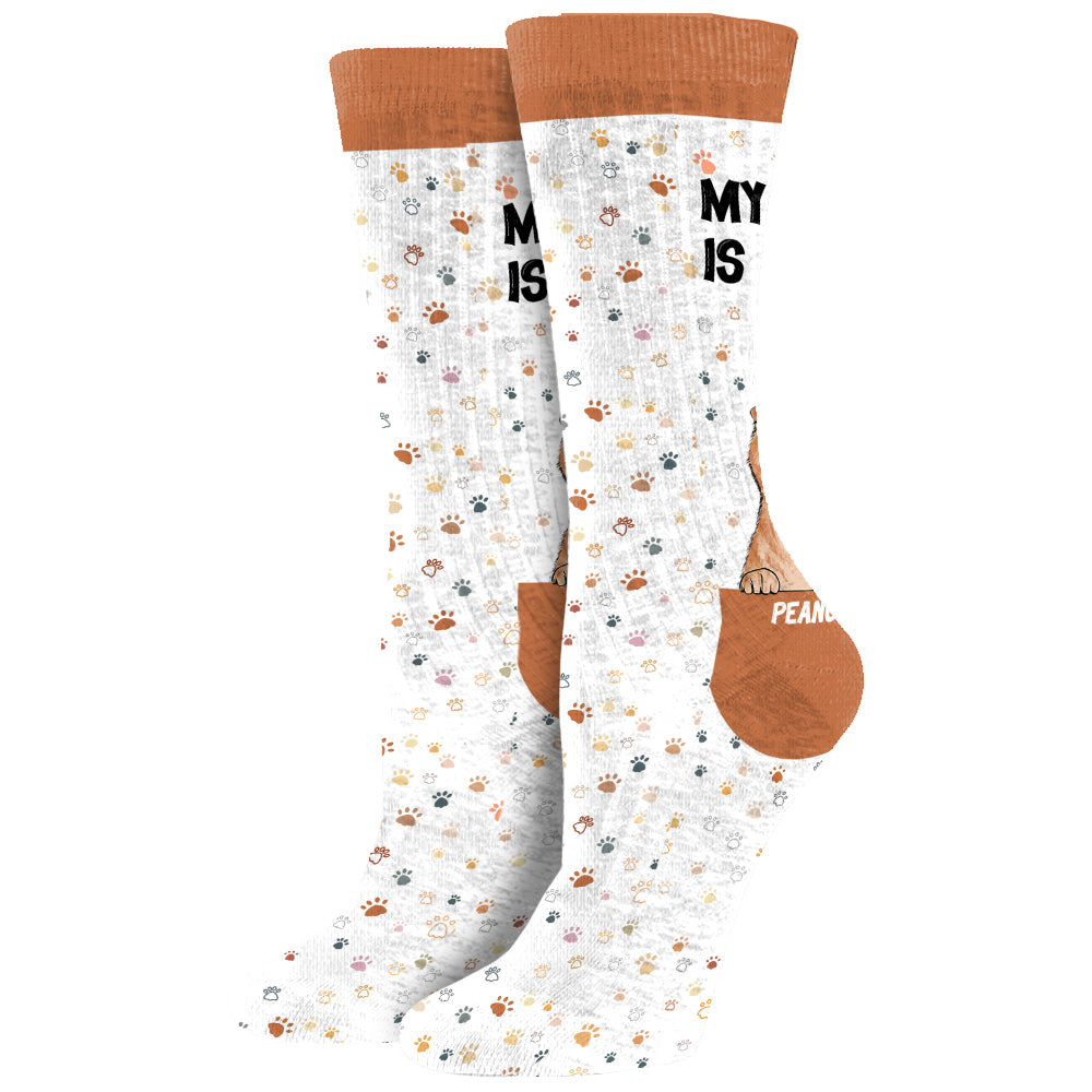 Meine Katze ist cool – personalisierte Hundesocken