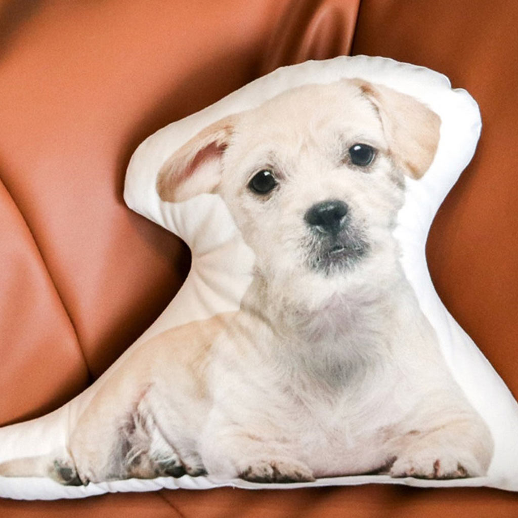 Personalisiertes Erinnerungsgeschenk für Haustiere – Geschenk für Hundeliebhaber, Trauernde und Katzenbesitzer – Personalisiertes Kissen in Tierform