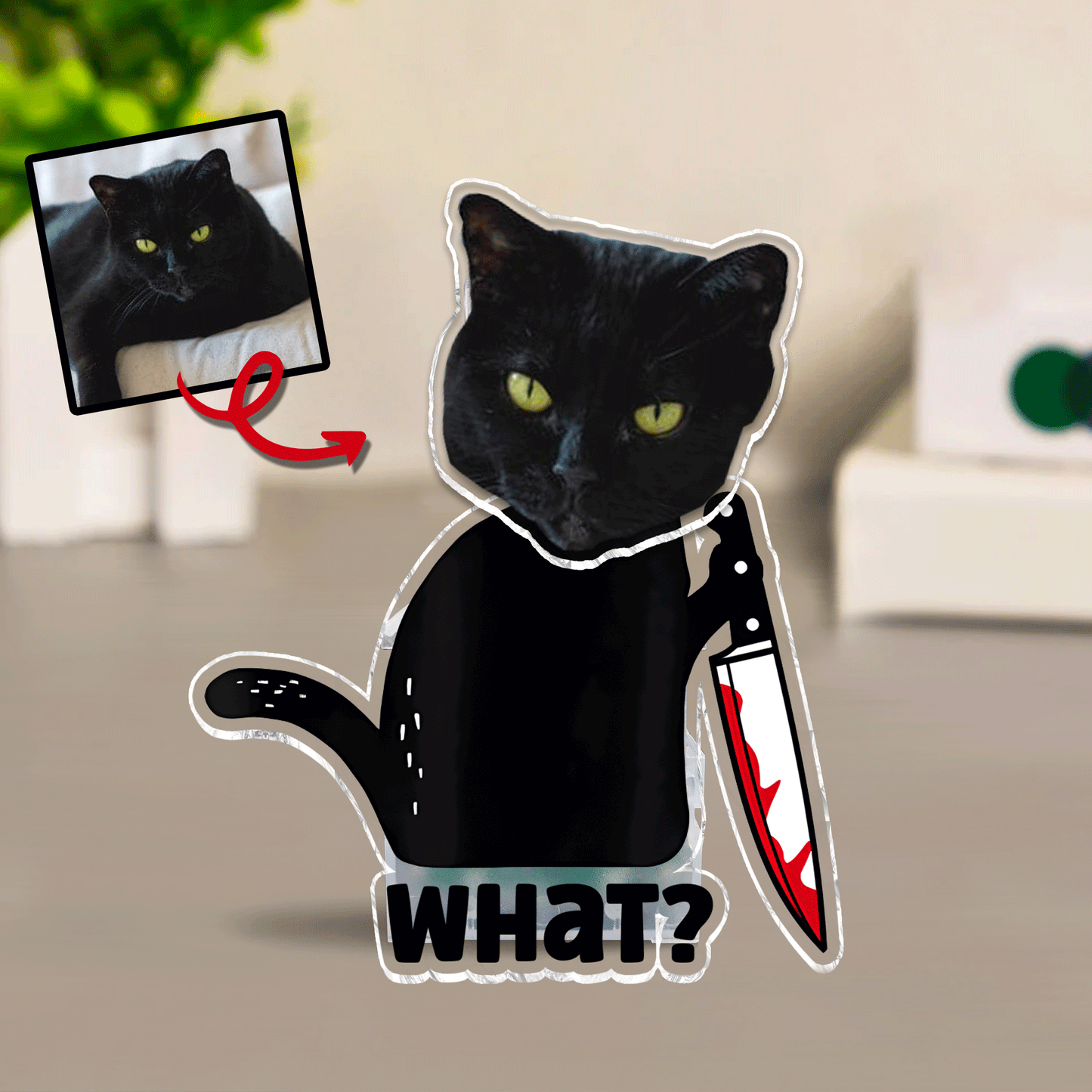 Coole schwarze Katze – Geschenkidee für Katzenliebhaber – Personalisierter Wackelkopf