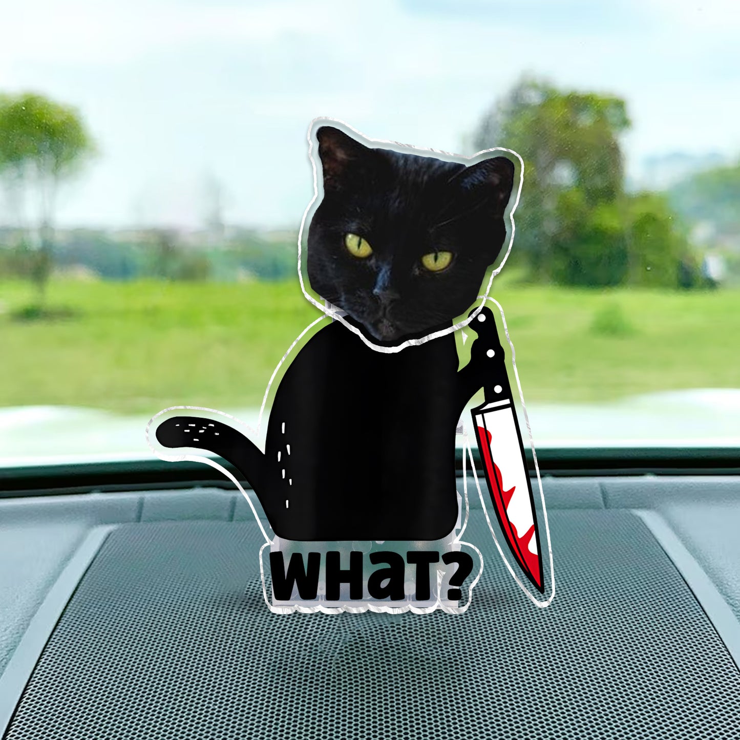 Coole schwarze Katze – Geschenkidee für Katzenliebhaber – Personalisierter Wackelkopf