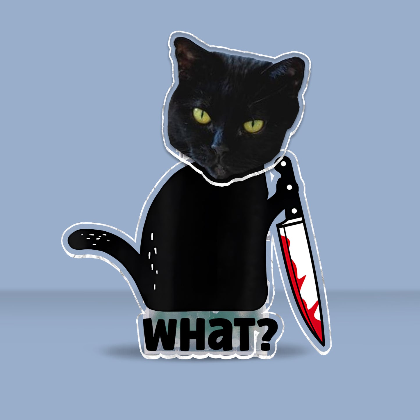 Coole schwarze Katze – Geschenkidee für Katzenliebhaber – Personalisierter Wackelkopf