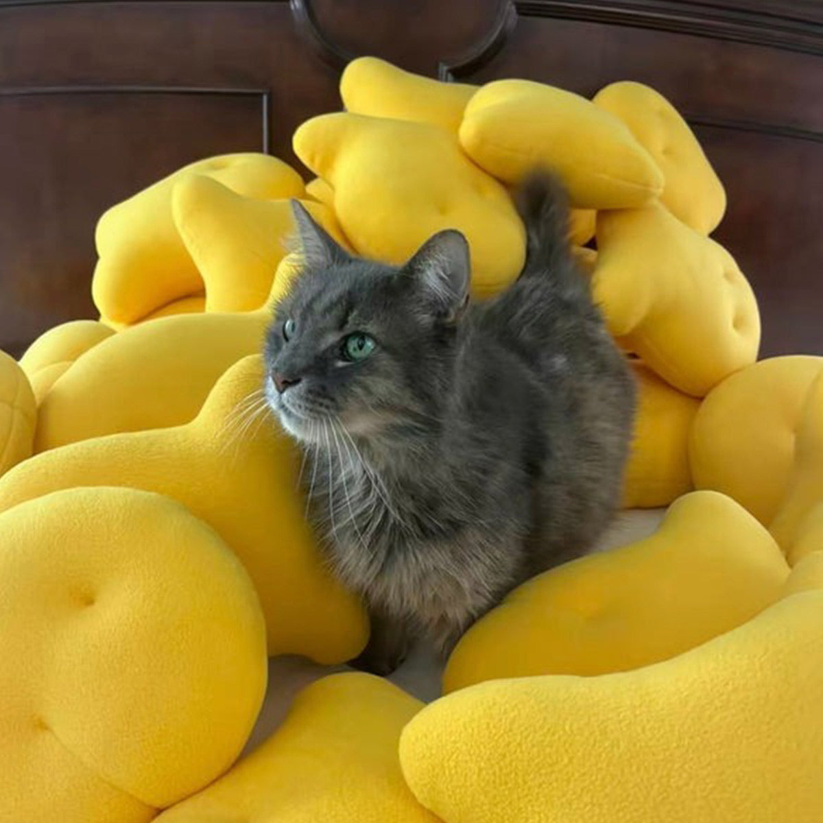 Cute Gold Fish Plush - Gold Fish Plush